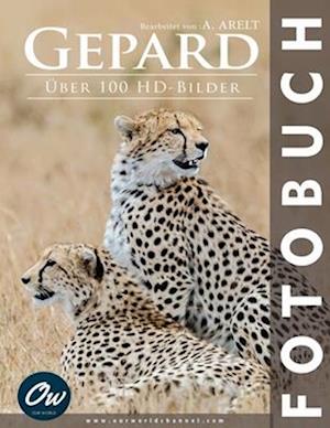 Gepard