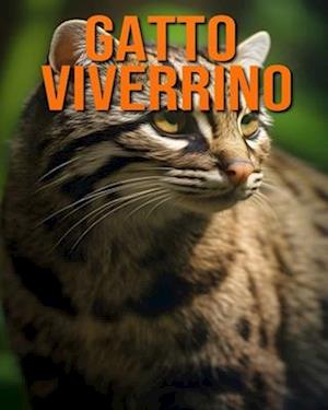 Gatto viverrino