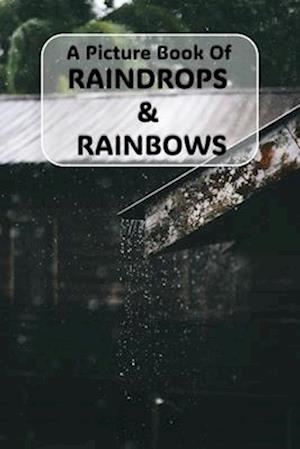 A Picture Book of Raindrops & Rainbows