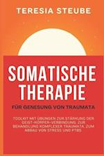 Somatische Therapie Für Genesung Von Traumata