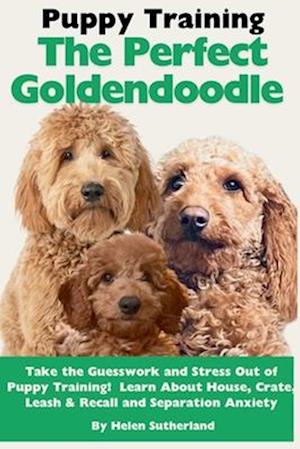 Puppy Training the Perfect Goldendoodle