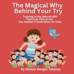 The Magical Why Behind Your Try