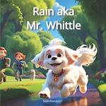 Rain aka Mr. Whittle