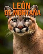 León de montaña