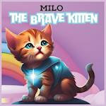 Milo the Brave Kitten