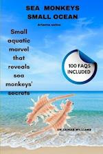 Sea Monkeys Small Ocean