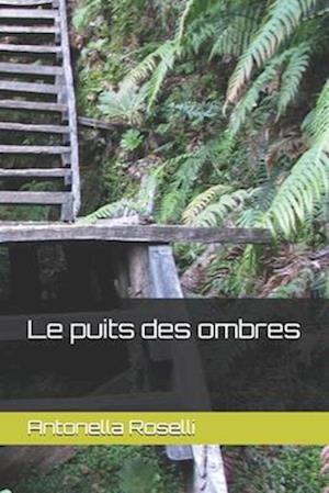 Le puits des ombres