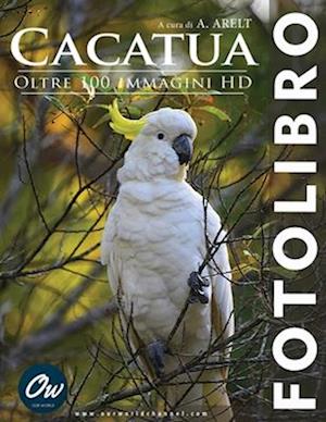 Cacatua