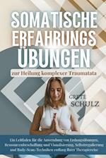 Somatische Erfahrungs übungen zur Heilung komplexer Traumatata