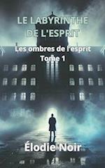 Le Labyrinthe de l'Esprit