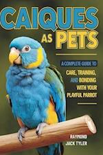 Caiques as Pets