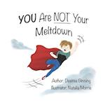 You are NOT Your Meltdown