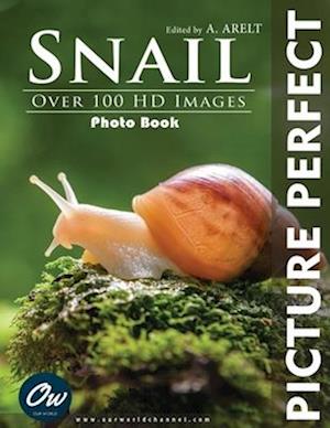 Snail