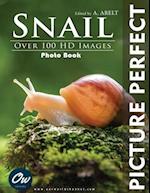 Snail