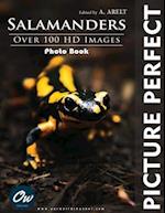 Salamander