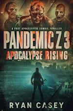 Pandemic Z 3