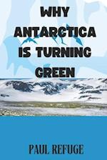 Why Antarctica Is Turning Green