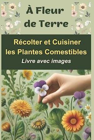 À Fleur de Terre