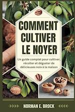 Comment Cultiver Le Noyer