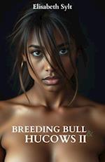 Breeding Bull and Hucows 2