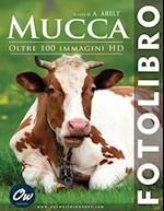 Mucca