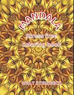 MANDALA STRESS FREE COLORING BOOK: WONDERFUL ARTS 
