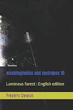 washingtonias and zoetropes 10: Luminous forest : English edition 