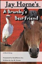 A Brumby's Best Friend 