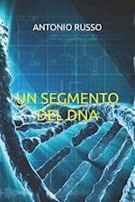 Un Segmento del DNA