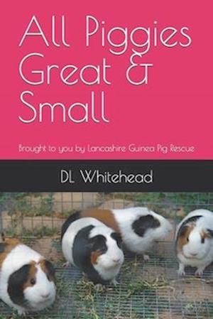 All Piggies Great & Small: Brought to you by Lancashire Guinea Pig Rescue