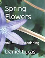 Spring Flowers : Volume 111 Astonishing 