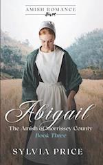 Abigail (The Amish of Morrissey County Book Three): An Amish Romance 