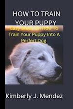 How To Train Your Puppy: Steps On How To Train Your Puppy Into A Perfect Dog 