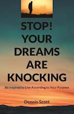 Stop! Your Dreams Are Knocking: Be Inspired to Live According to Your Purpose 