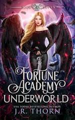 Fortune Academy Underworld: Book Seven 