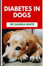 Diabetes In Dogs: Symptoms, Causes, Diagnosis, Treatments 