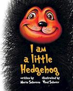 I am a little Hedgehog 