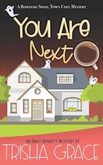 You Are Next: A Contemporary Romantic Cozy Mystery 