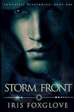 Storm Front: Immortals Descending Book One 