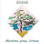 Maritime pines, Crimea 