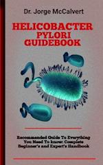Helicobacter Pylori Guidebook : An Organic, Multi-Focused Approach to Eradicating H. pylori 