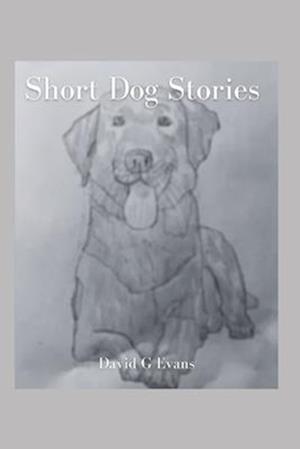 Short Dog Stories