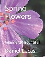 Spring Flowers : Volume 120 Bountiful 