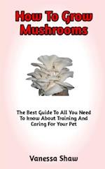 How To Grow Mushroom: A Comprehensive Guide On How To Grow Mushrooms And Everything You Need To Know 