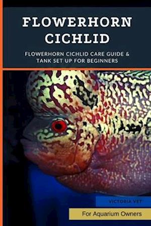 Flowerhorn Cichlid: Flowerhorn Cichlid Care Guide & Tank Set Up For Beginners