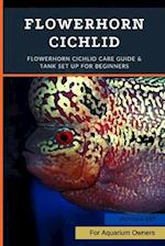 Flowerhorn Cichlid: Flowerhorn Cichlid Care Guide & Tank Set Up For Beginners 