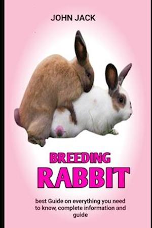 Breeding rabbit : Raising Rabbits for consumption