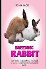 Breeding rabbit : Raising Rabbits for consumption 