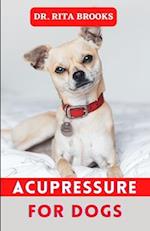 Acupressure for Dogs: Dog Massage & Acupressure Tips to Calm and Relax your Dog 