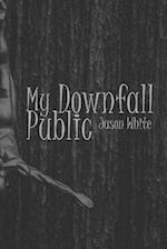 My Public Downfall 